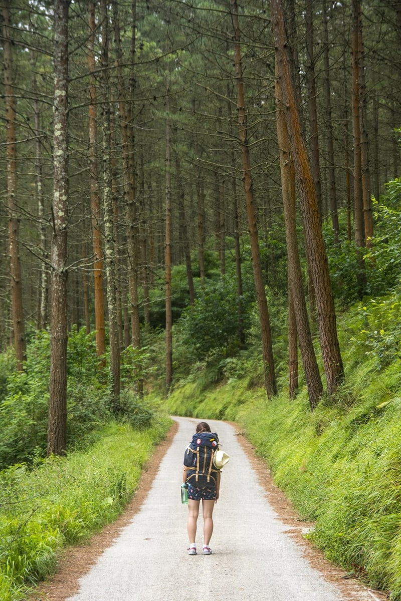 Forest Path